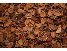 �������� ��������