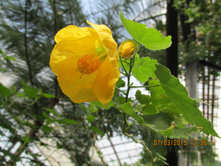 ���� 129.jpg