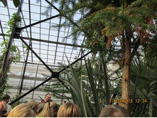 ���� 122.jpg