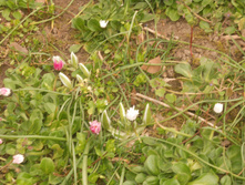 DSCN5546 - �����.JPG