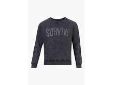 �������519014901 - 1037+%.jpg