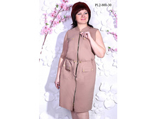 1308 ���, ������� PL2-800-30.jpg