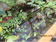 �����, ������������ ���� ��������� �� 4-� ����!