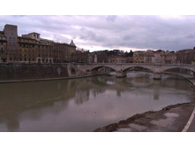 IMAG0517.jpg