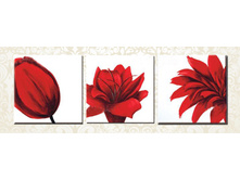 �007 120�40, 40�40-3, ��������.jpg