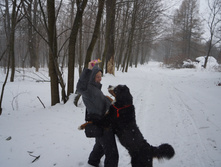 DSC02653.JPG