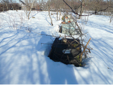 ���� �� 13.03.15.JPG