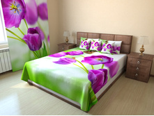 ����� �������.jpg