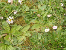 DSCN5542 - �����.JPG