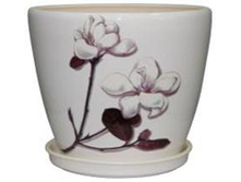 ������ ������  ����� magnolia  056-4-022.jpg