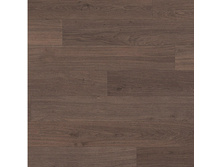 ������ ����� ������ �����-�����.jpg