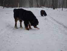 DSC02654.JPG