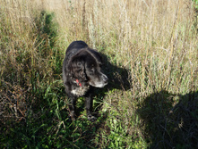 DSC01249.JPG