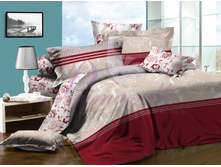 ������ ���� 1559 ���