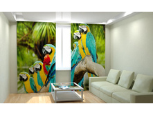 ������� �������.jpg