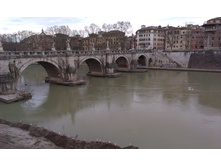 IMAG0515.jpg