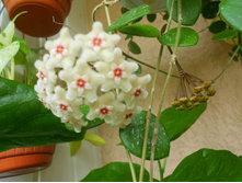 ���� ��������.