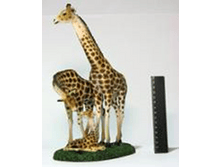 �������-������ ����� DR077 580,2 ���. , �.19 ��,  �. 13��,  �. 30 ��