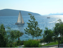 DSCN0134 - �����.JPG