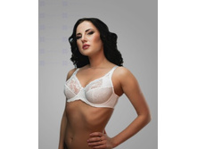 152042 ���. 509���