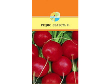 ����� ������� F1_16.90+%