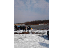 IMG_20150321_105533.jpg