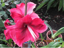 ���� 157.jpg