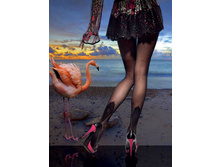 �������� "PALOMA"