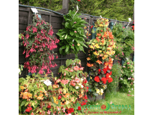 ��������� ���� ��. ����1.png