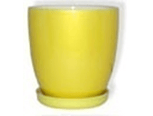 ������ ����� ������ ������