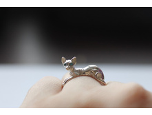 ����� ������.