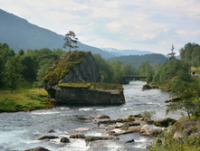 �������� 2014_177.jpg