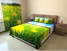 ���� �� �����������.jpg