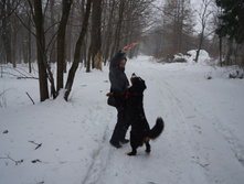 DSC02642.JPG