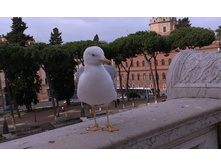 IMAG0569.jpg