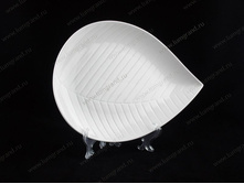 4909A �������.jpg