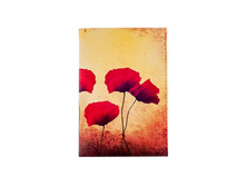 ������� �� ������� Poppies.jpg