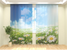 ���������� ����.jpg