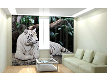 nn����� ����.jpg