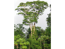 ���������� ������ �� ����� �������