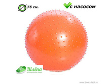 ���� 1292 ���.