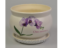 ������ ������  ��� ORCHIDEA 012-2-044.jpg