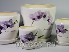 ������ ������  ����� orchidea  056-1-028.jpg