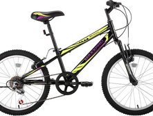 MAXXPRO DRAGON 2001.6957 ���.