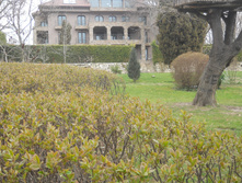 DSCN5551 - �����.JPG