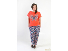 ������ 355.jpg