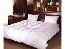 ������ Patrizia