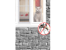 ��������� ����� �� ���� � ������������� ������ ��� ���������