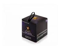 ���� �������������� VEDA VEDICA