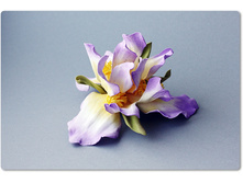 ���� - �������